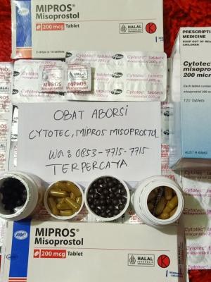 Jual Obat Aborsi Asli 1 & 7 Bulan 085377157715 Cara Menggugurkan Kandungan atau Aborsi Terbaik