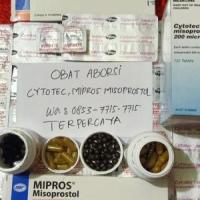 Jual Obat Aborsi Asli 1 & 7 Bulan 085377157715 Cara Menggugurkan Kandungan atau Aborsi Terbaik